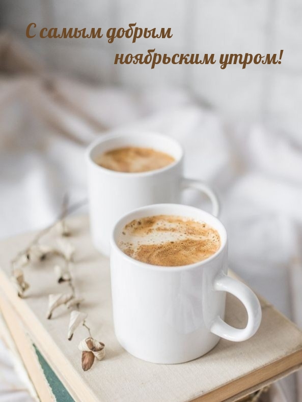 С самым добрым ноябрьским утром!