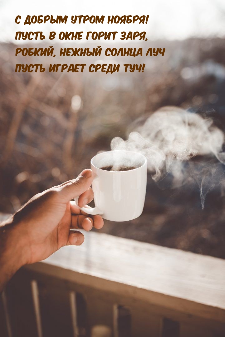 С добрым утром ноября! Пусть в окне горит заря