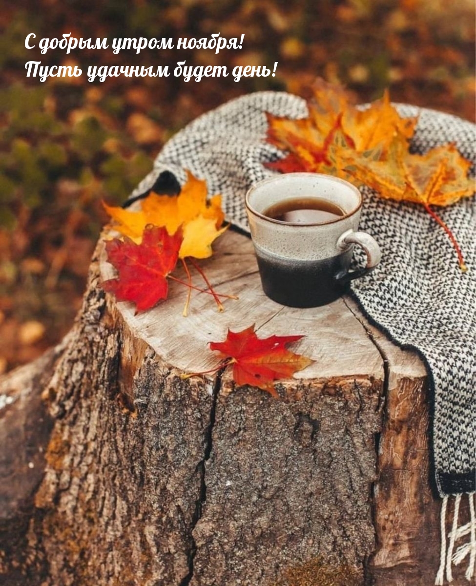 С добрым утром ноября! Пусть удачным будет день!