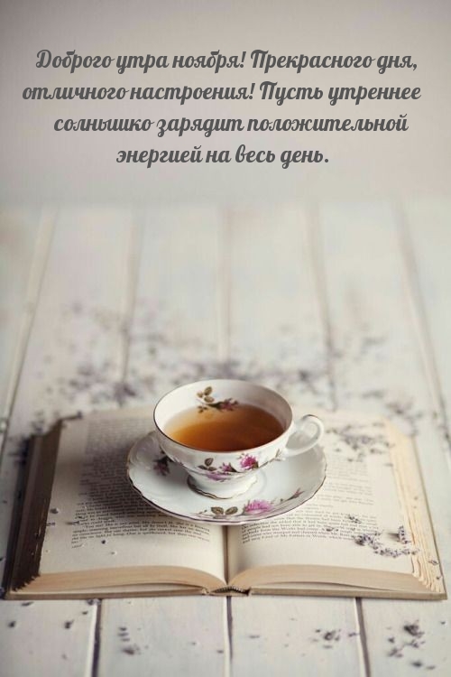 Доброго утра ноября! Прекрасного дня
