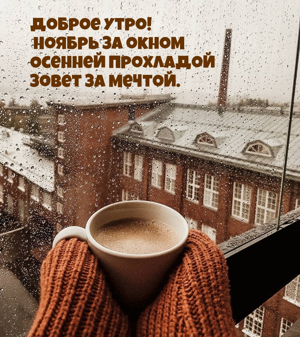 Доброе утро! Ноябрь за окном