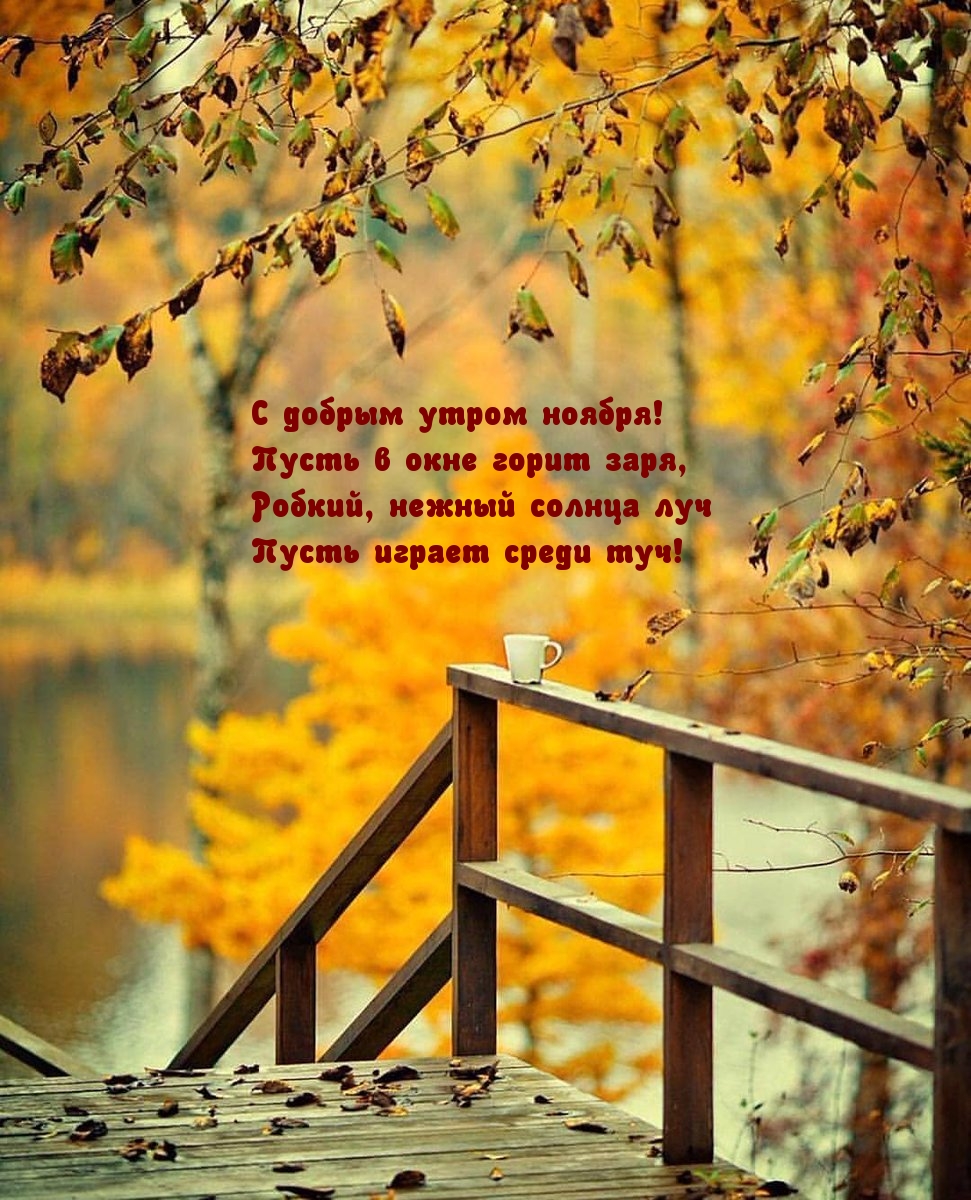 С добрым утром ноября! Пусть в окне горит заря