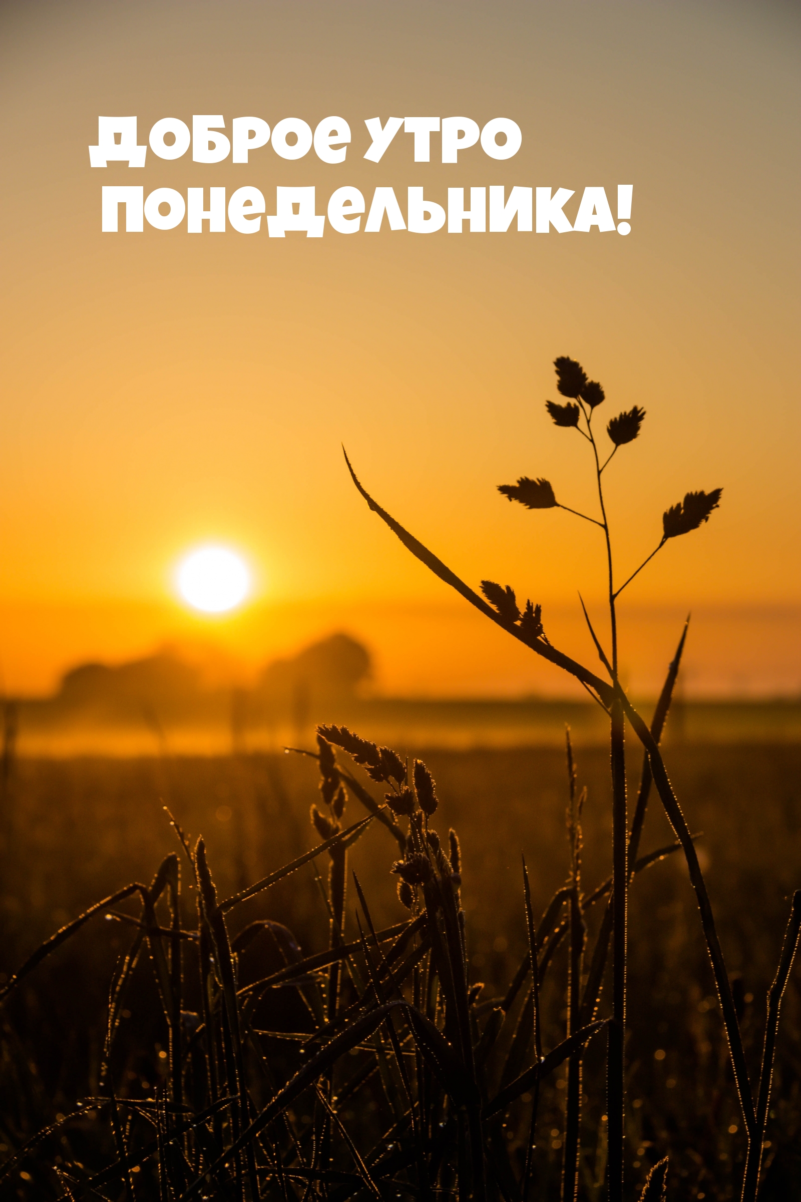 Доброе утро понедельника!
