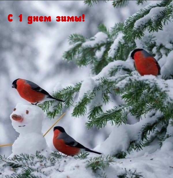 С 1 днем зимы!