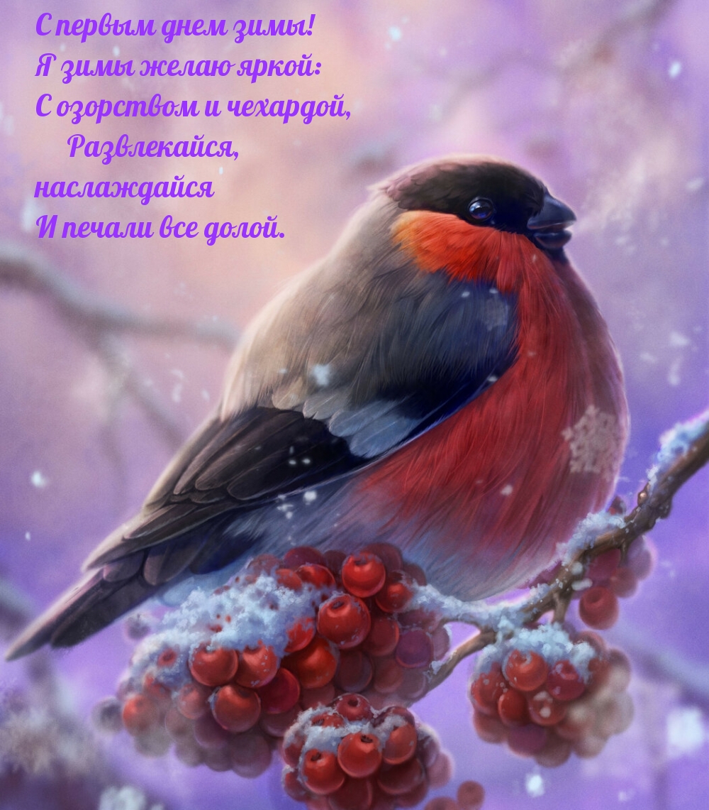С первым днем зимы! Я зимы желаю яркой