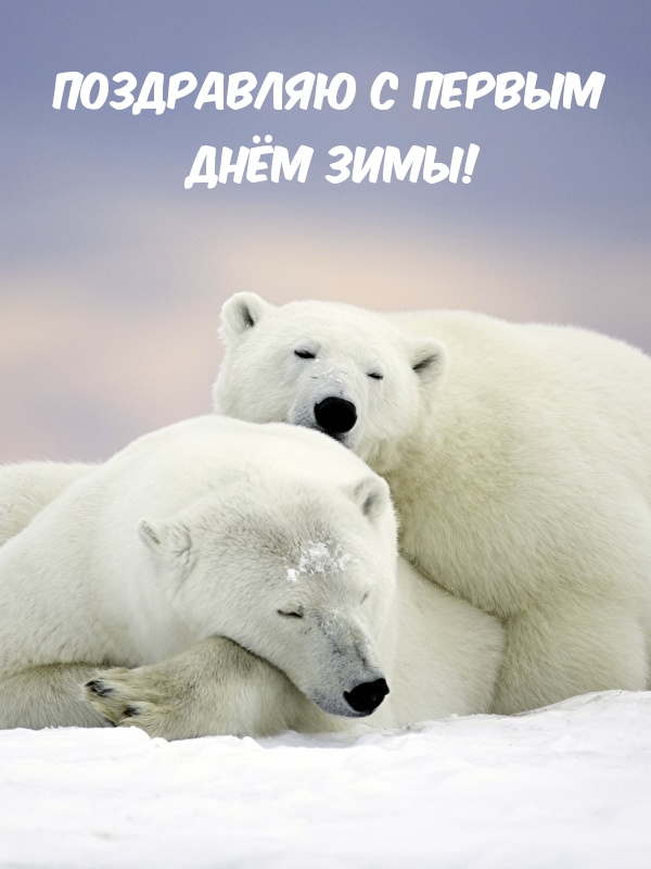 Поздравляю с первым днём зимы!