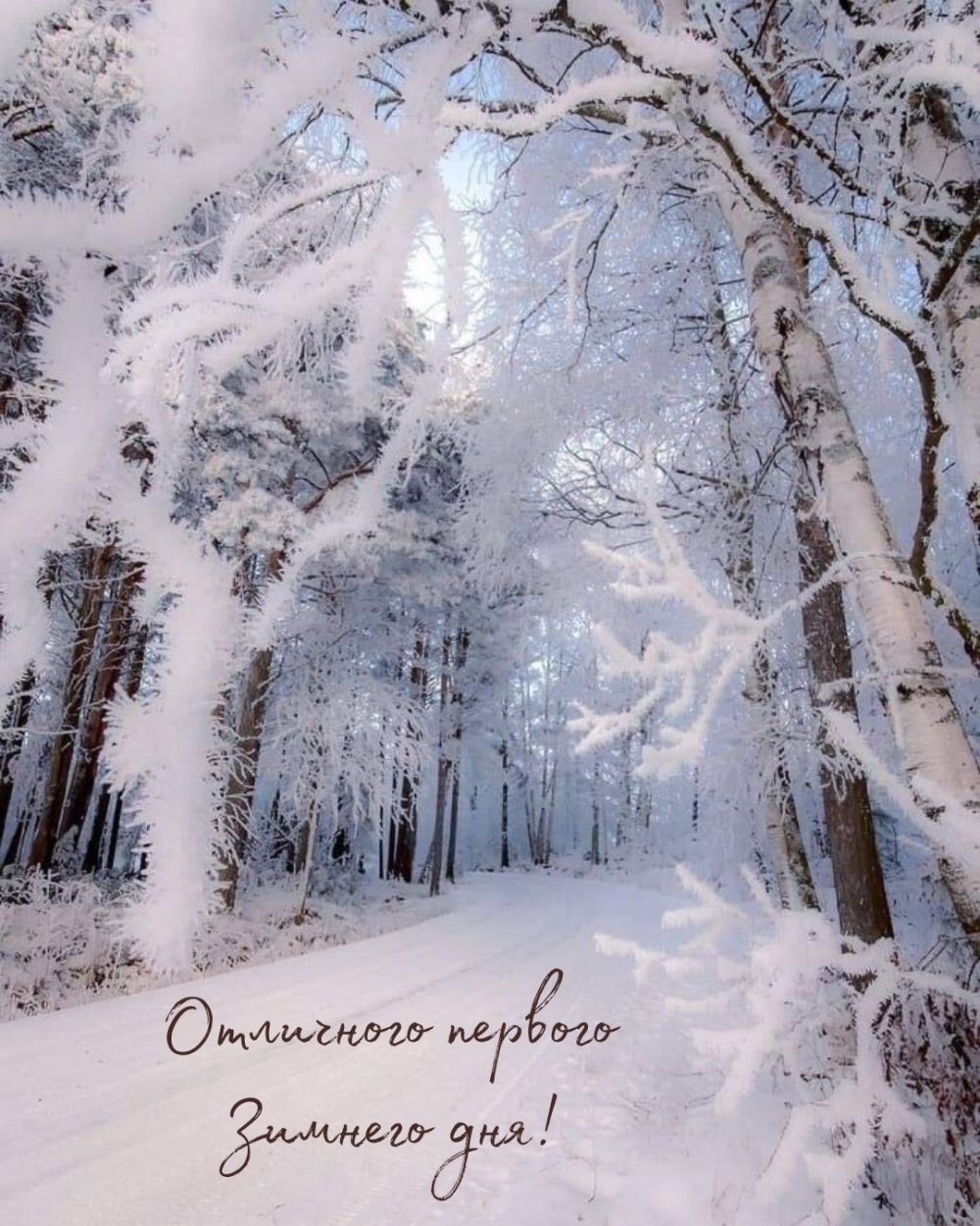 Отличного первого зимнего дня!