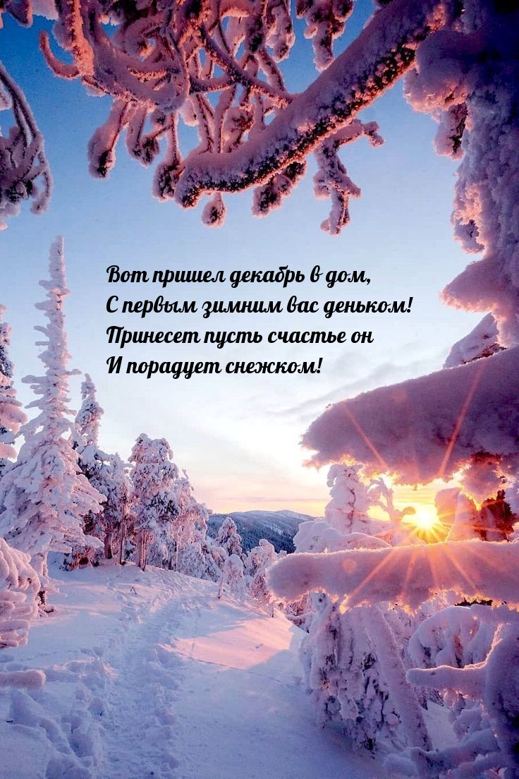 Вот пришел декабрь в дом, с первым зимним вас деньком!