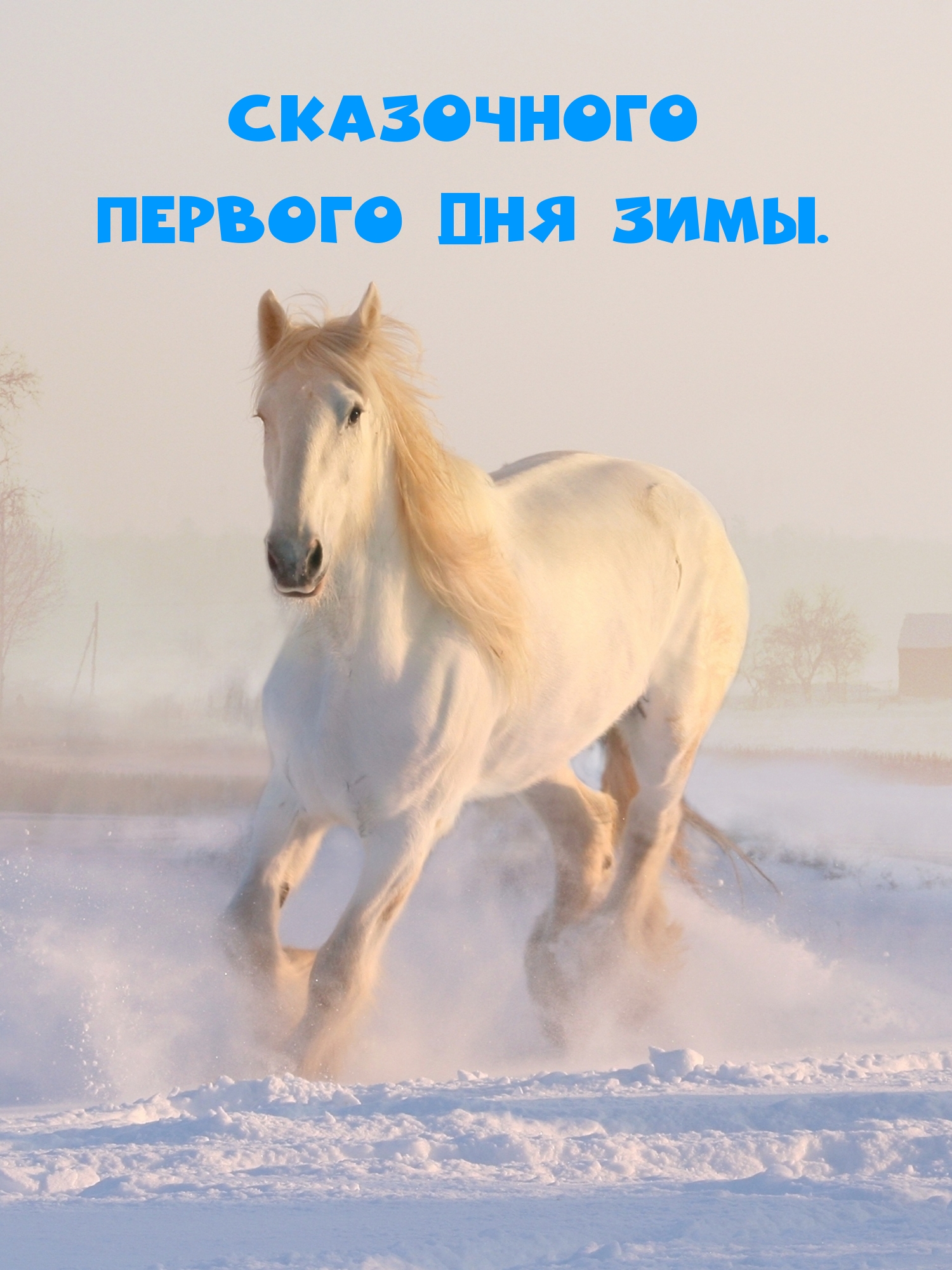 Сказочного первого дня зимы.