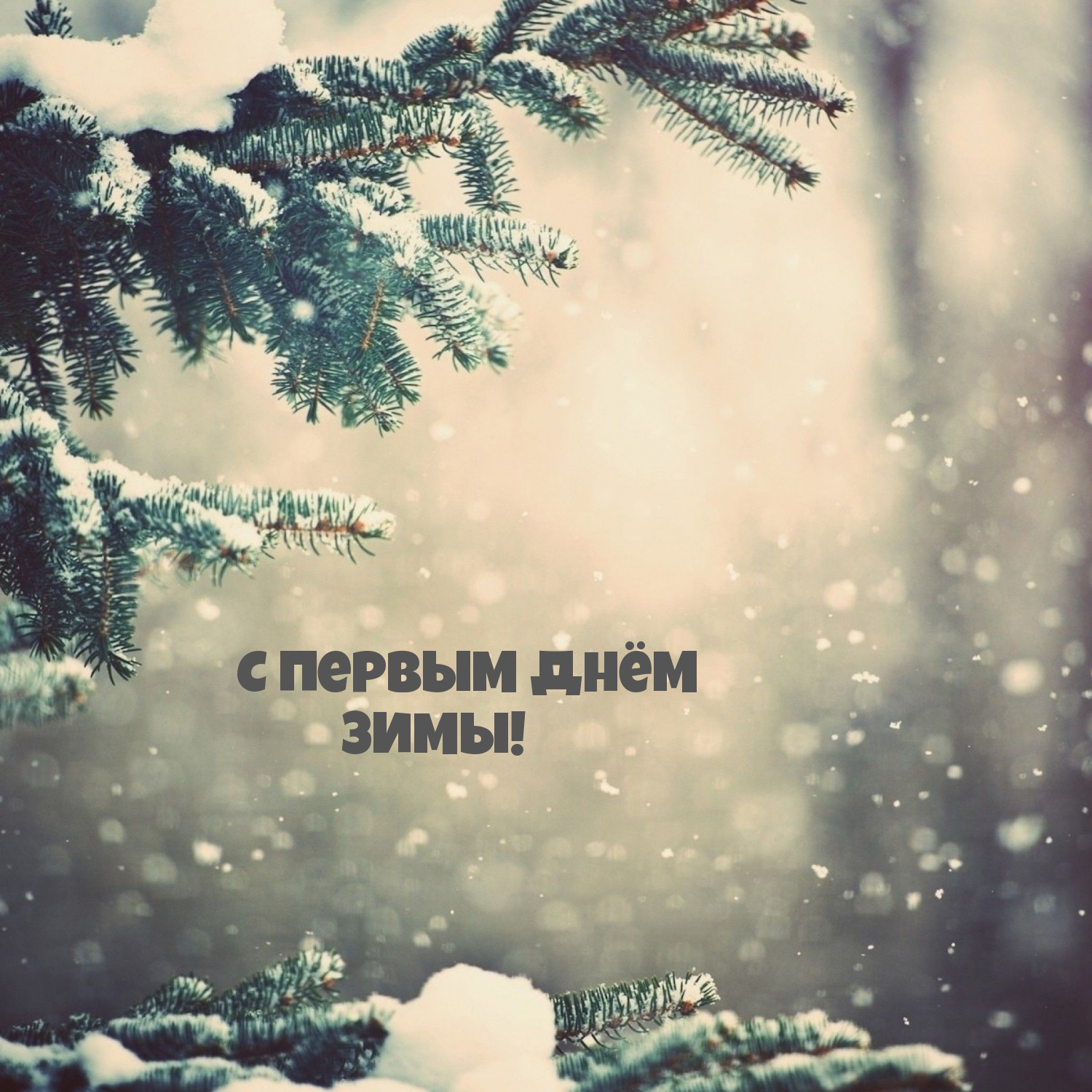 С первым днём зимы!