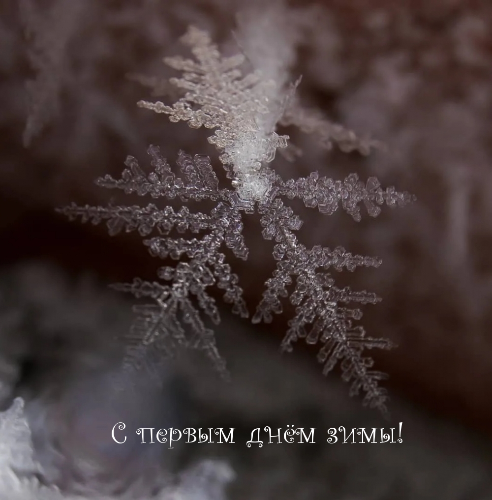 С первым днём зимы!