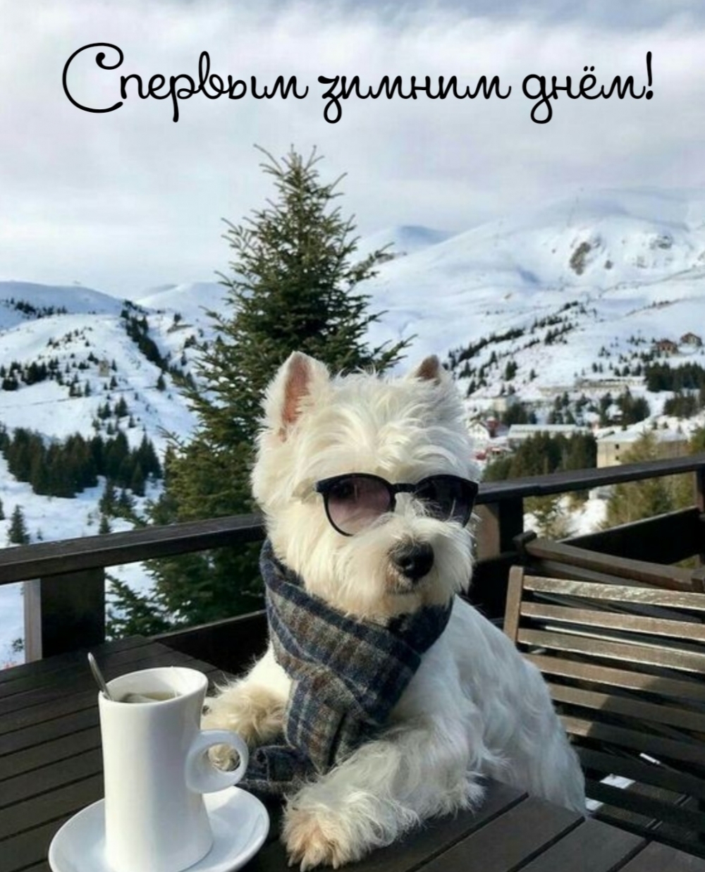 С первым зимним днём!