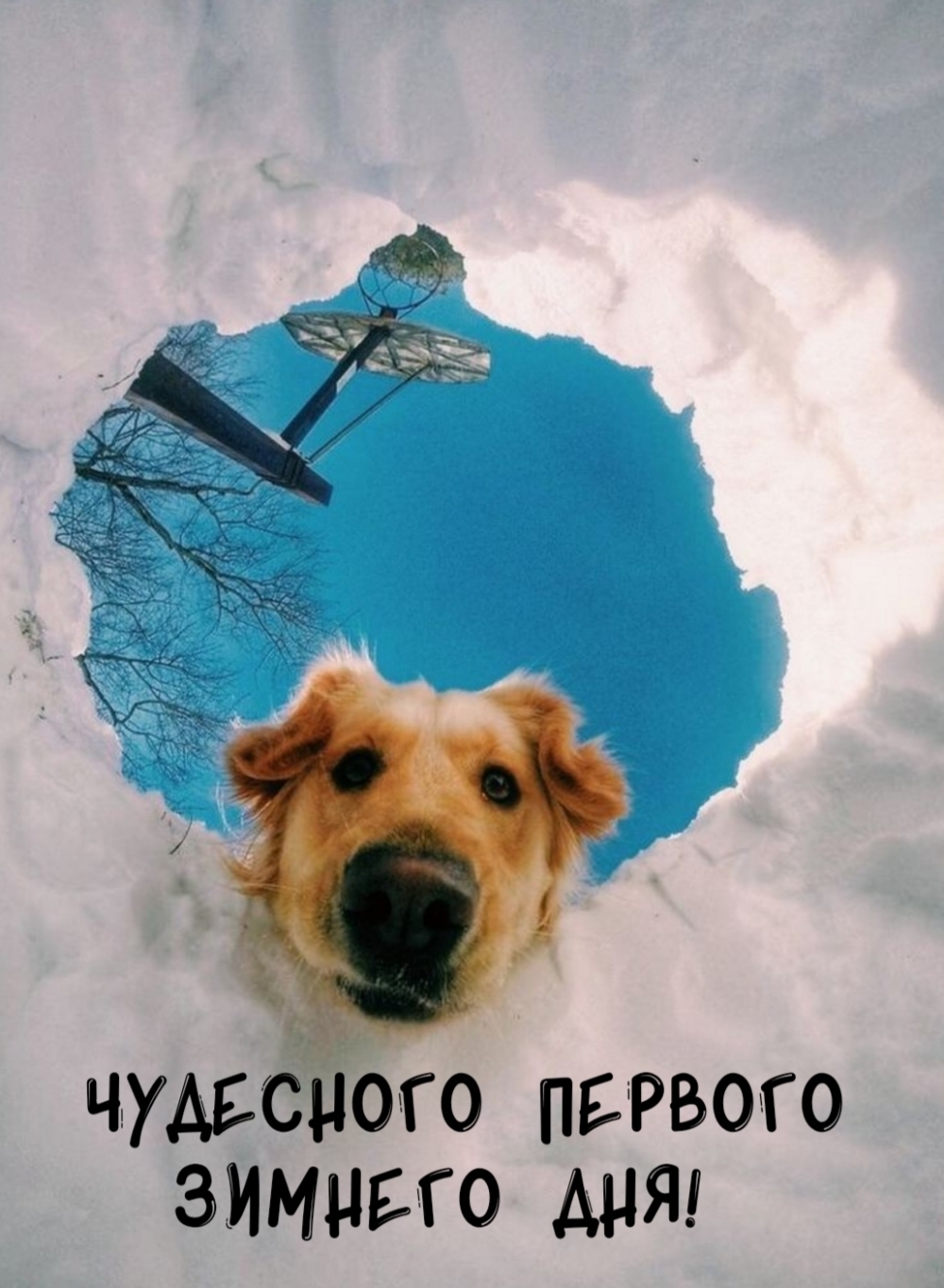 Чудесного первого зимнего дня!
