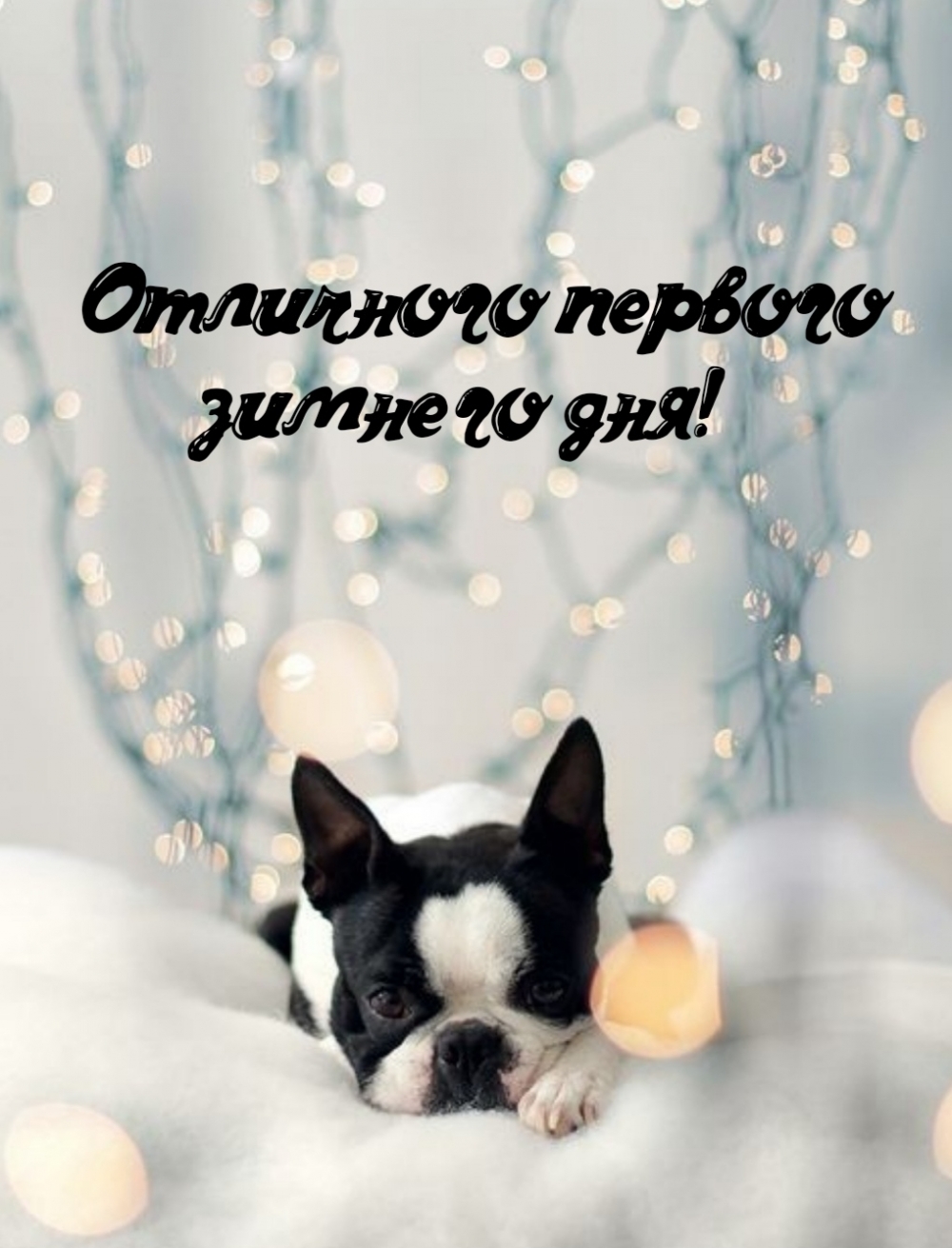 Отличного первого зимнего дня!