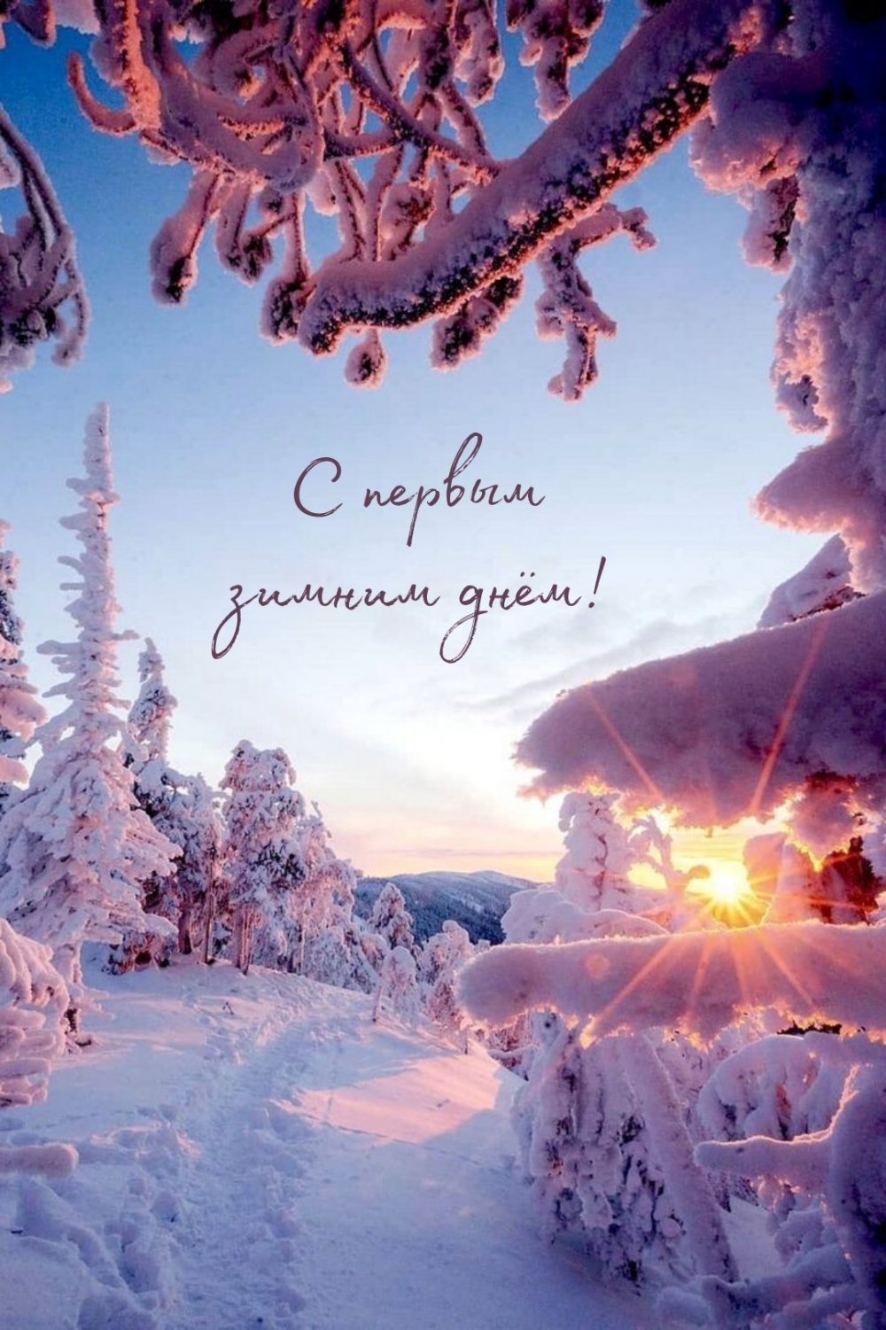 С первым зимним днём!
