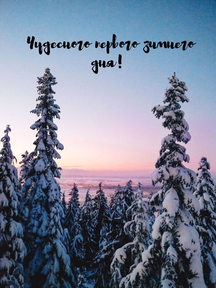 Чудесного первого зимнего дня!