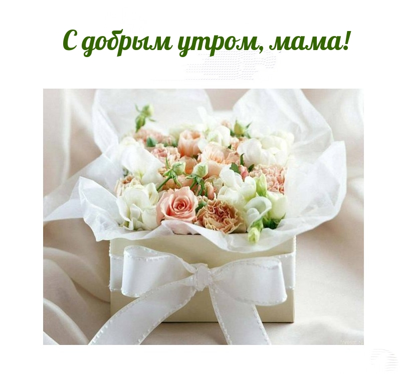 С добрым утром, мама!