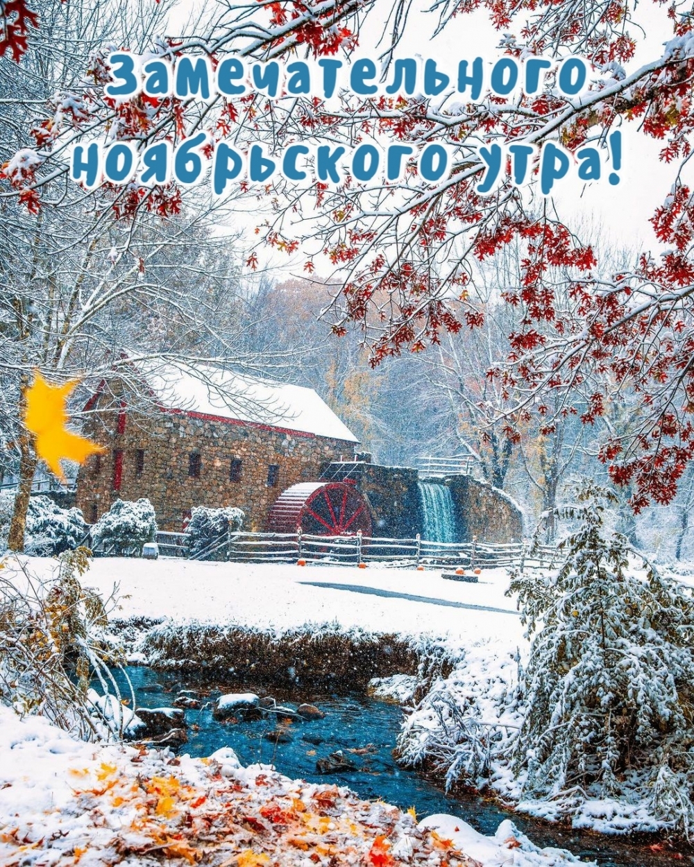 Замечательного ноябрьского утра!
