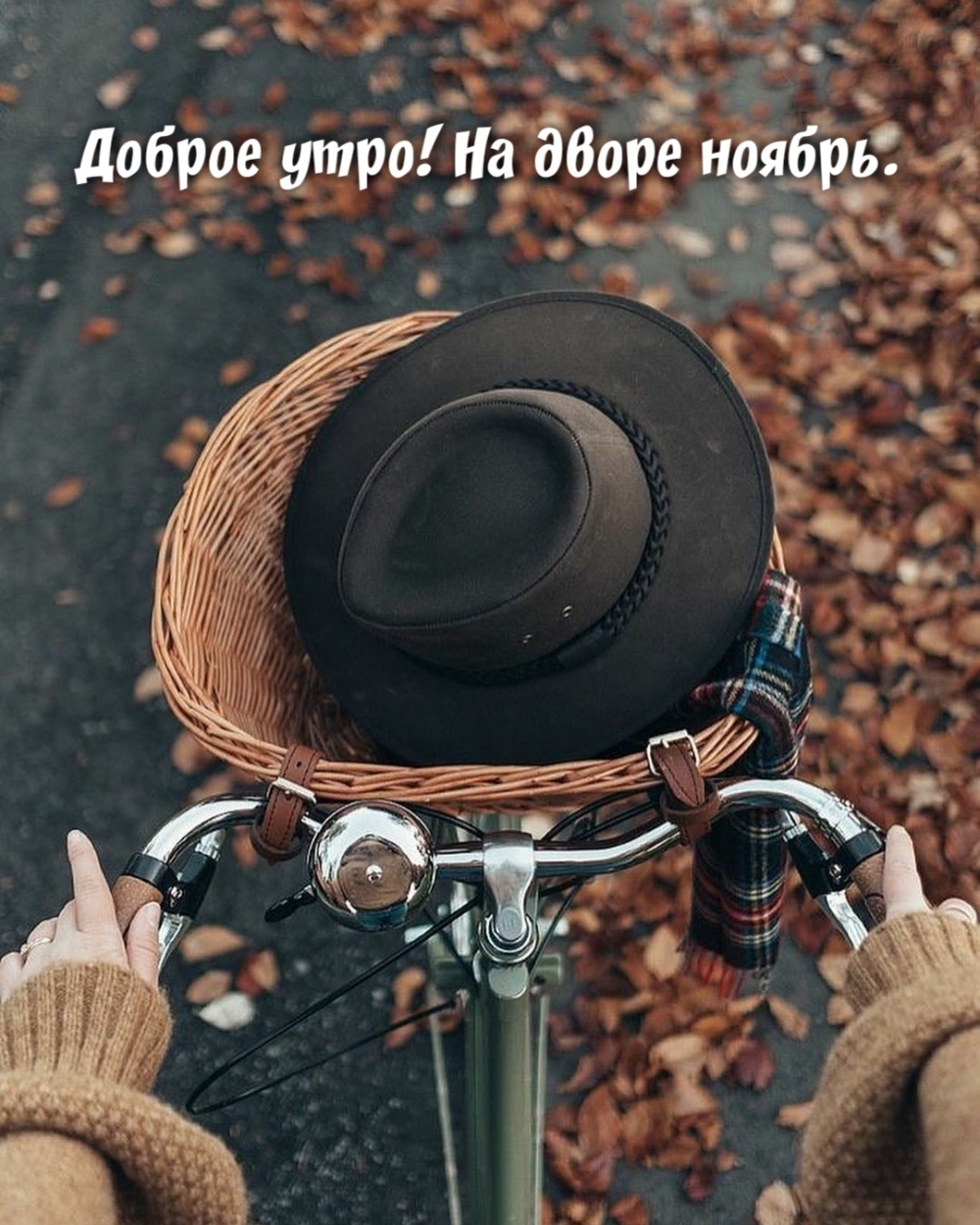 Доброе утро! На дворе ноябрь.