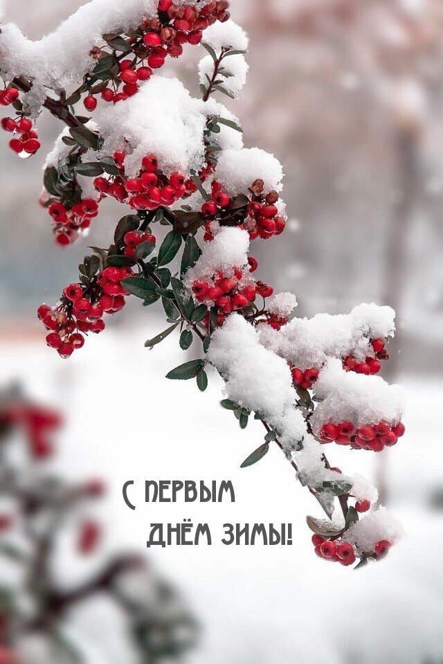 С первым днём зимы!