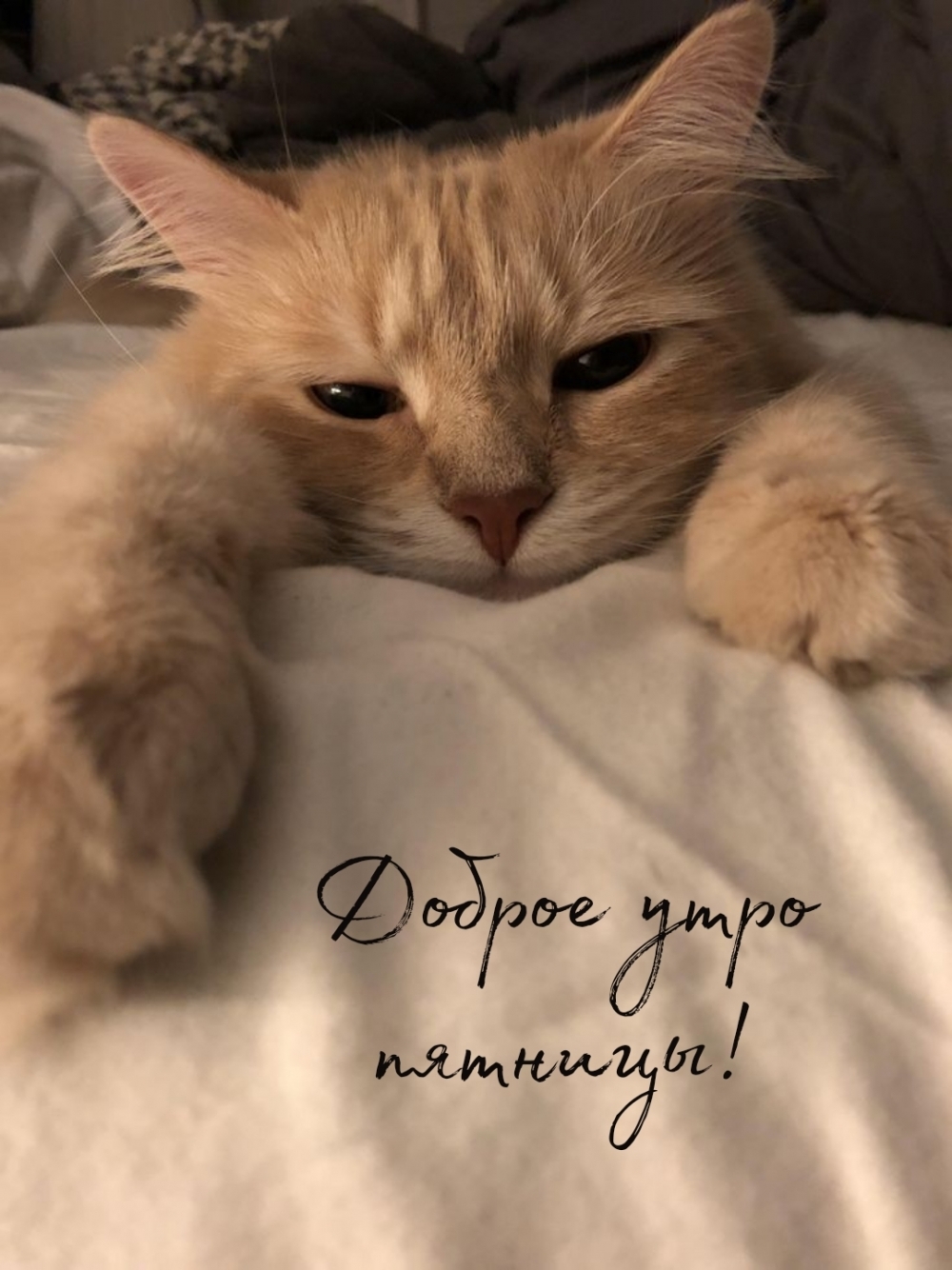 Доброе утро пятницы!