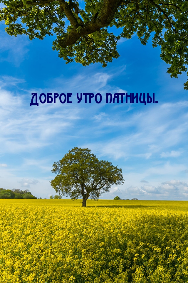 Доброе утро пятницы.