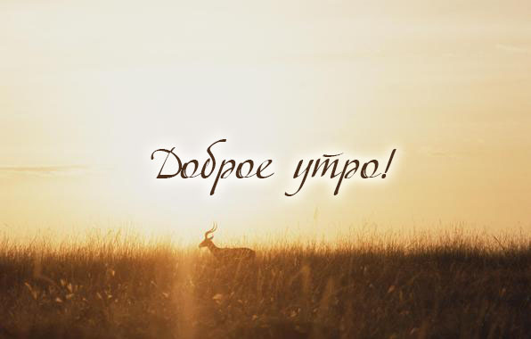 Доброе утро!