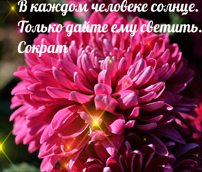 В каждом человеке солнце. Только дайте ему светить.