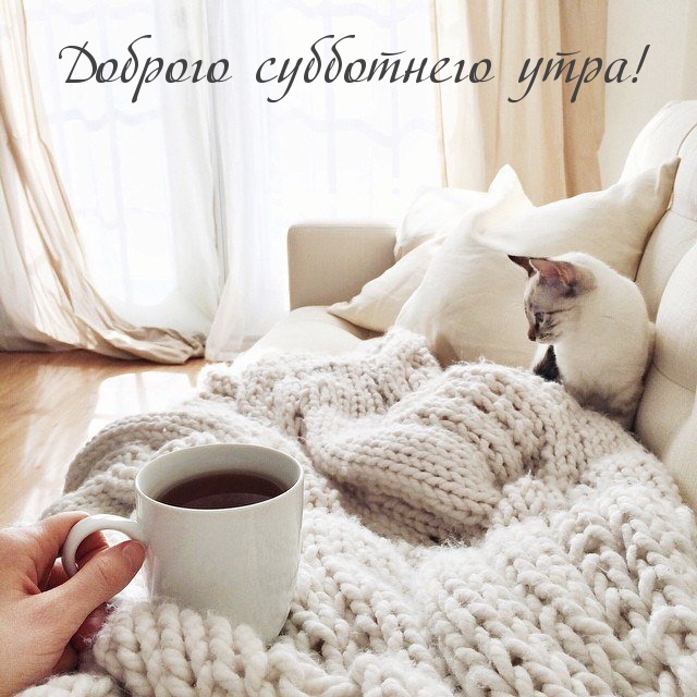 Доброго субботнего утра!