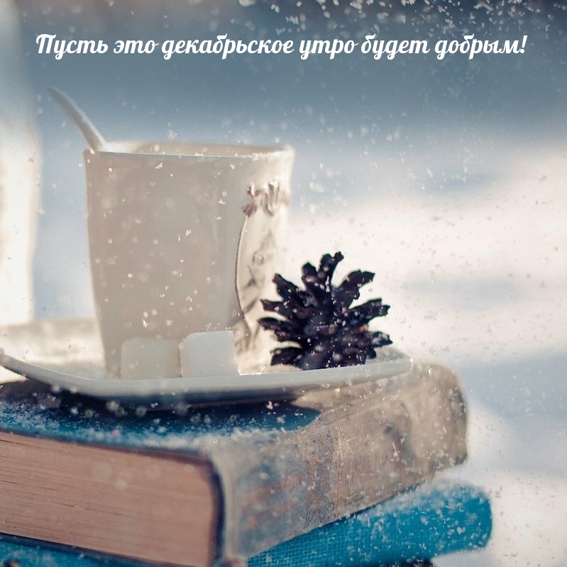 Пусть это декабрьское утро будет добрым!