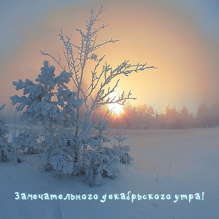 Замечательного декабрьского утра!