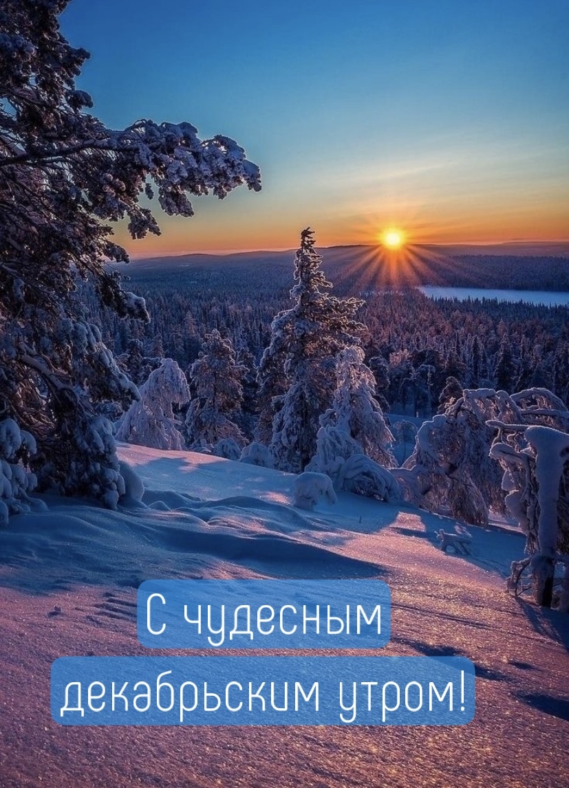 С чудесным декабрьским утром!