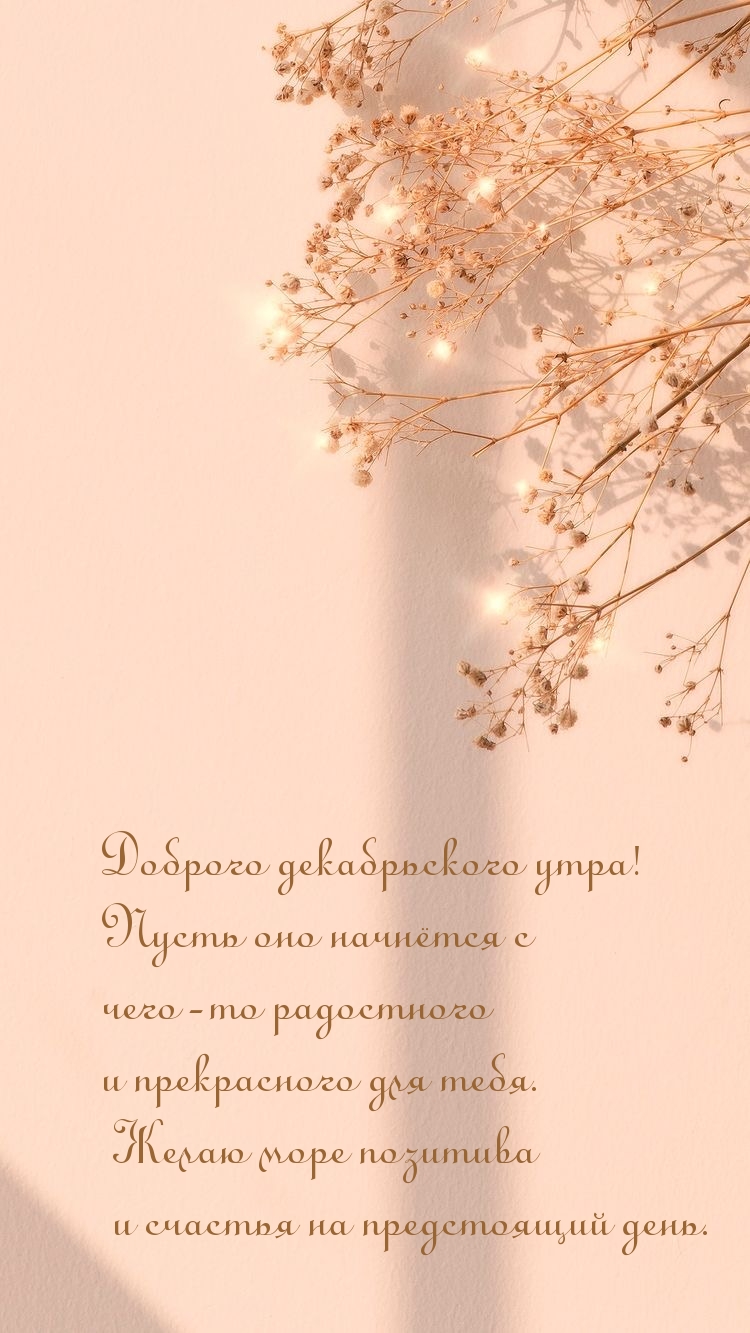 Доброго декабрьского утра!