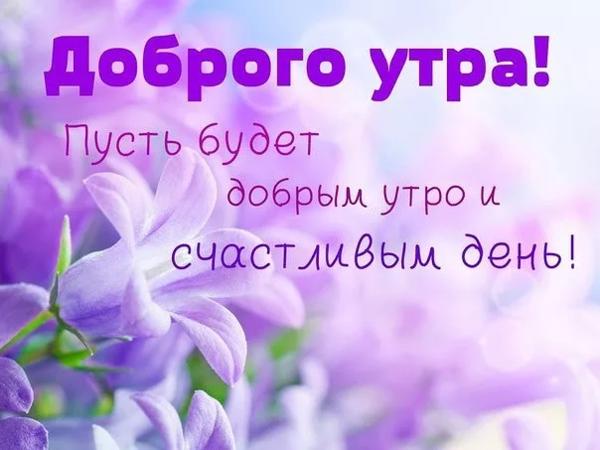 Пусть будет добрым утро и счастливым день!