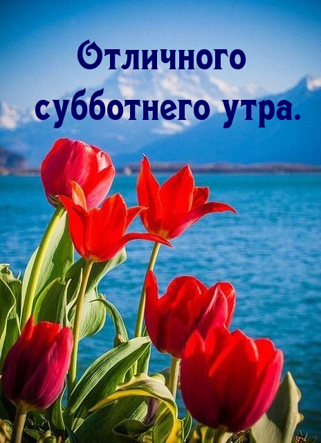 Отличного субботнего утра.