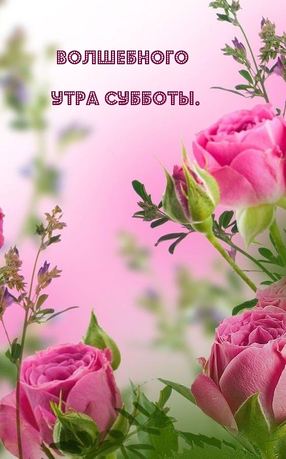 Волшебного утра субботы.