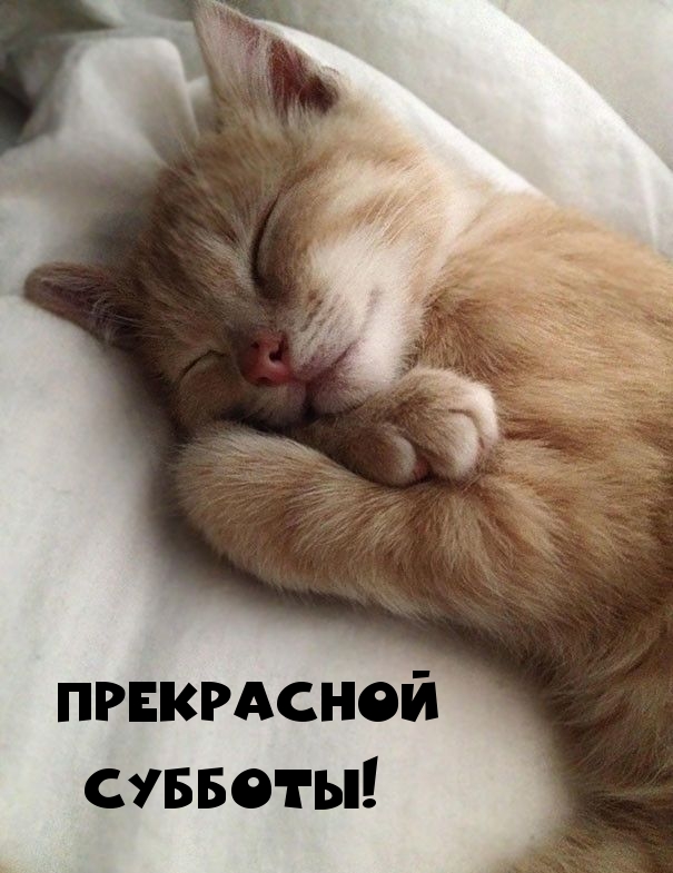 Прекрасной субботы!