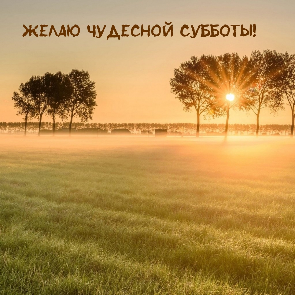 Желаю чудесной субботы!