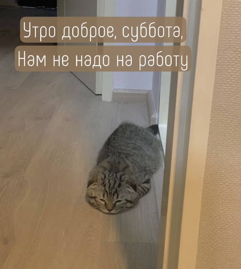 Утро доброе, суббота, нам не надо на работу