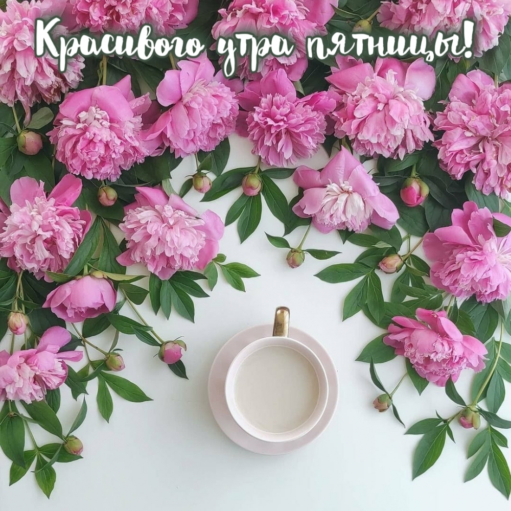 Красивого утра пятницы!
