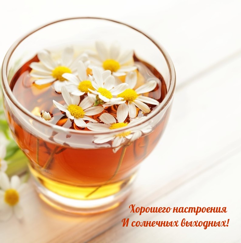 Хорошего настроения и солнечных выходных!