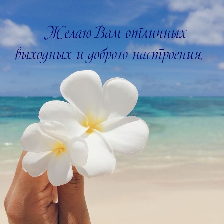 Желаю Вам отличных выходных и доброго настроения.