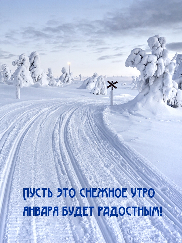 Пусть это снежное утро января будет радостным!