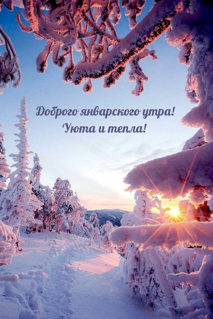 Доброго январского утра! Уюта и тепла!