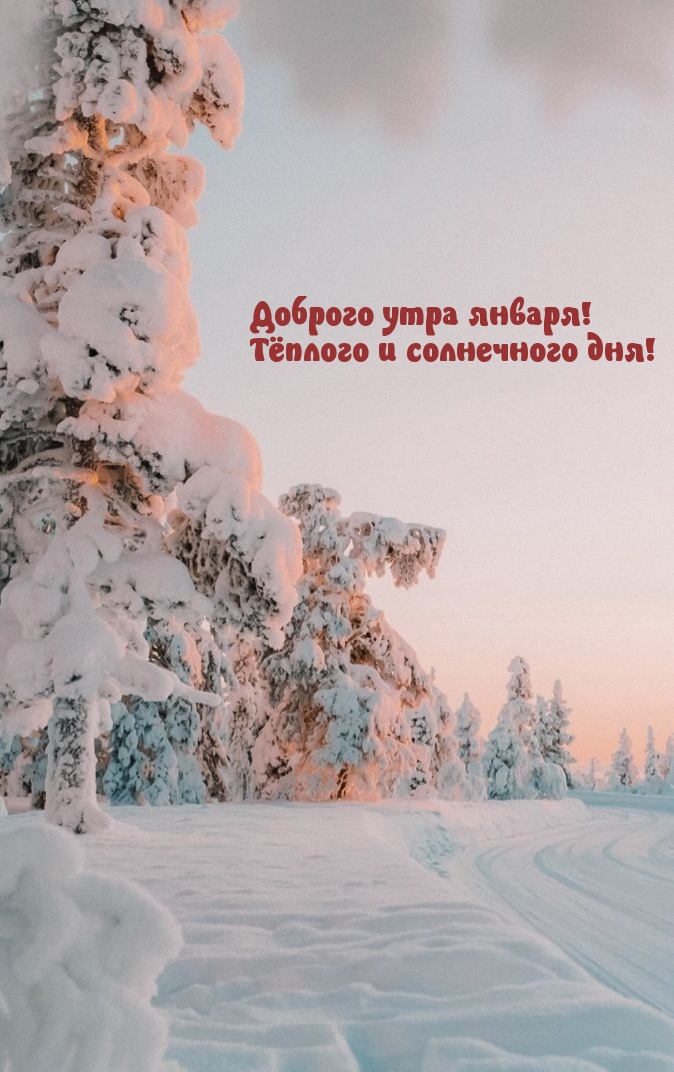 Доброго утра января! Тёплого и солнечного дня!