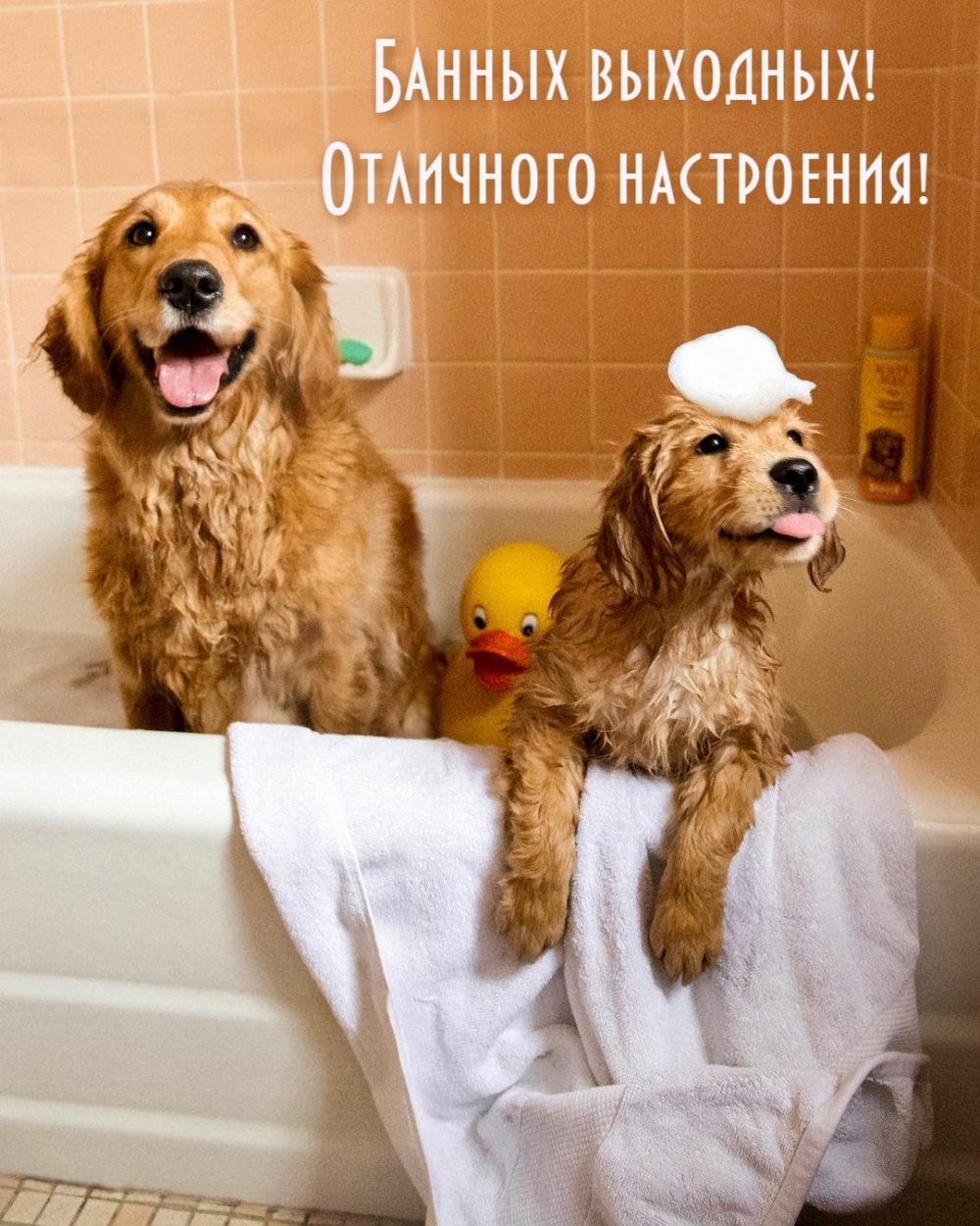 Банных выходных! Отличного настроения!