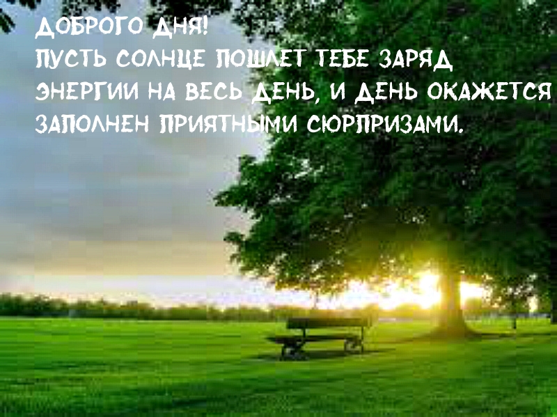 Доброго дня! Пусть солнце пошлет тебе заряд!