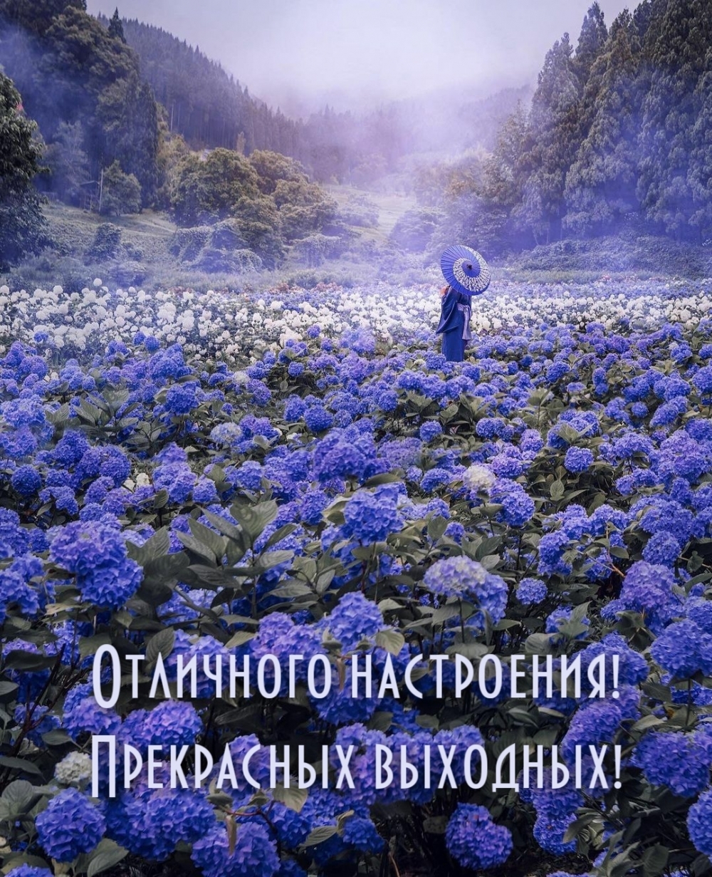 Отличного настроения! Прекрасных выходных!