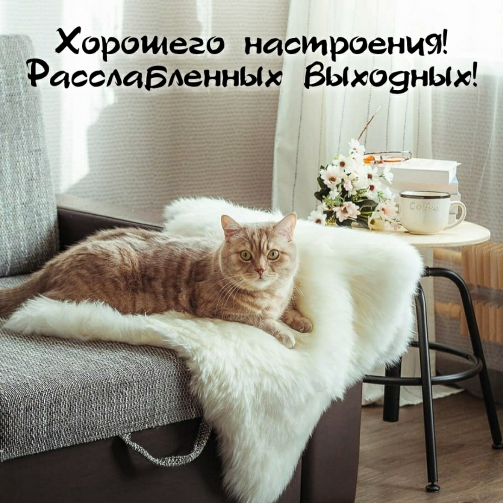 Хорошего настроения! Расслабленных выходных!