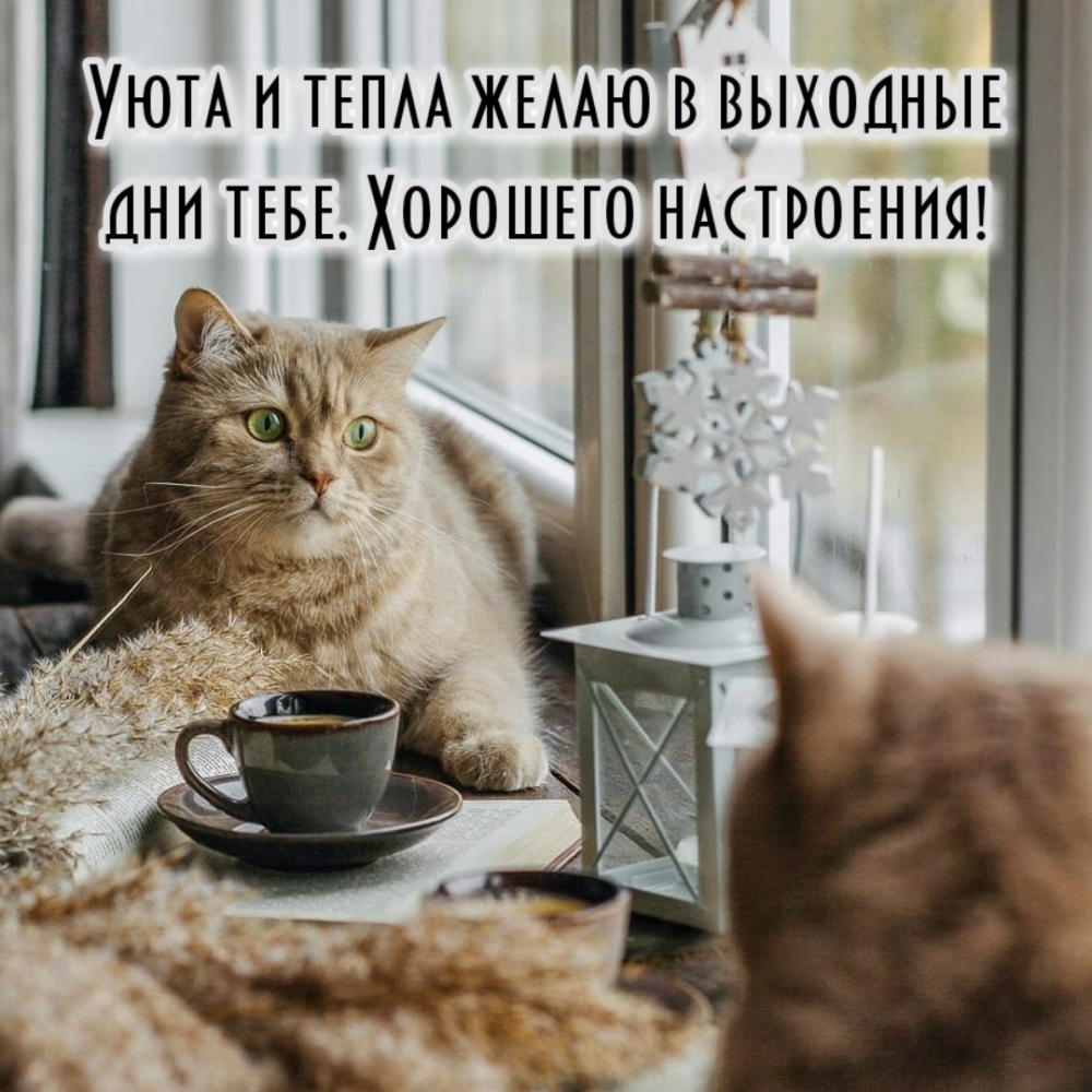 Уюта и тепла желаю в выходные дни тебе. Хорошего настроения!